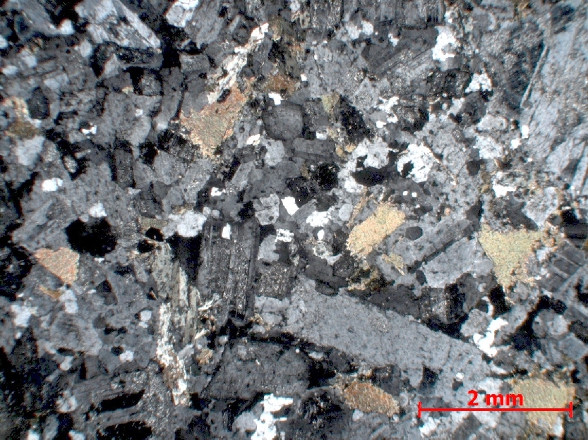  Microscope Diorite quartzique Diorite quartzique Massif central   Proximité de Laschamps